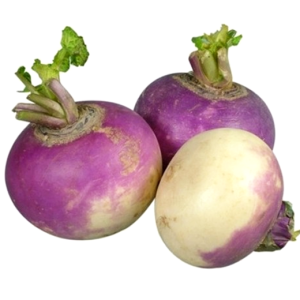 لفت سعودي طازج - 1 كجم